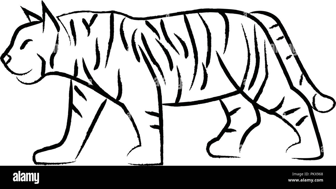 Umrisse zeichnen Tiger Stock-Vektorgrafik - Alamy
