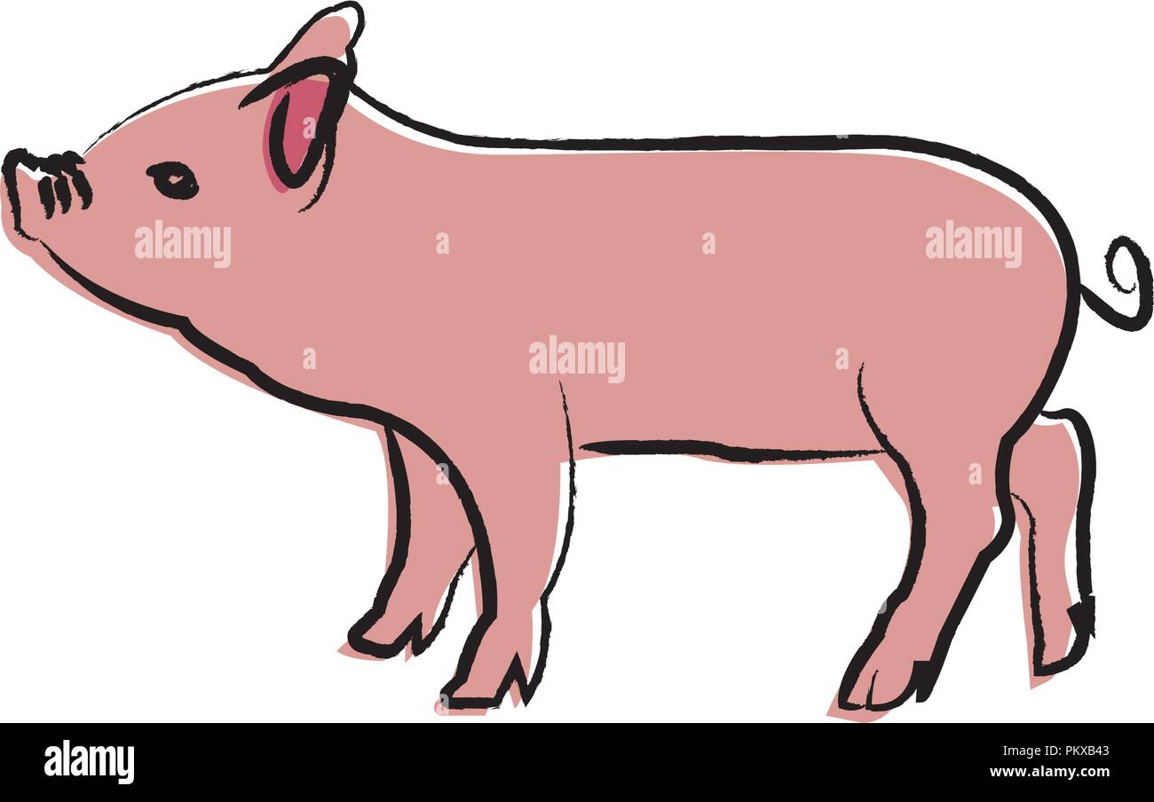 Umrisse zeichnen Schwein Stock Vektor