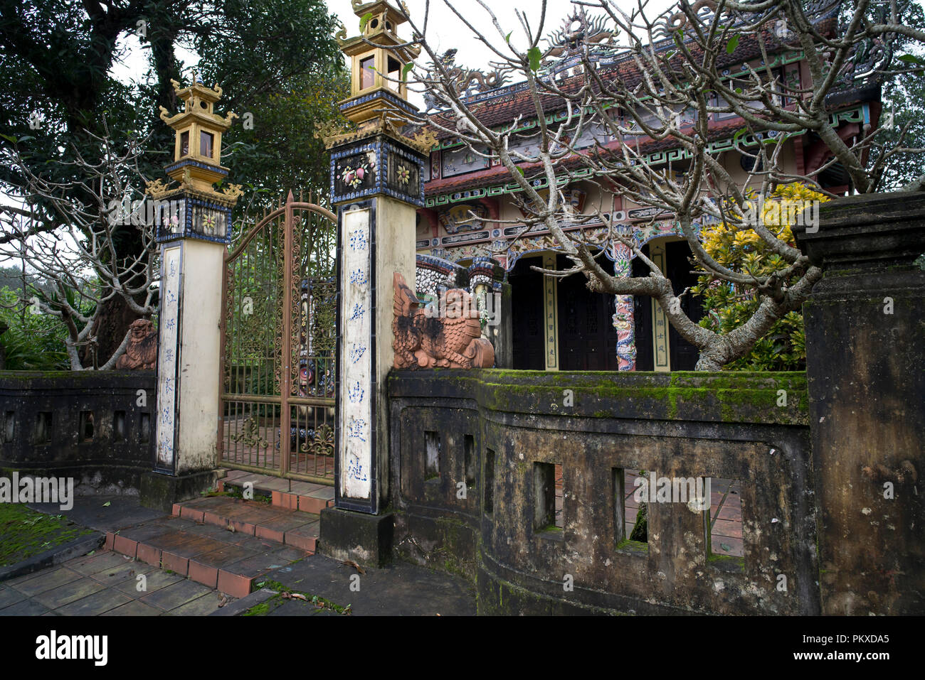 Moos an der Wand eines antiken Tempels in der Provinz Quang Tri in Vietnam Stockfoto