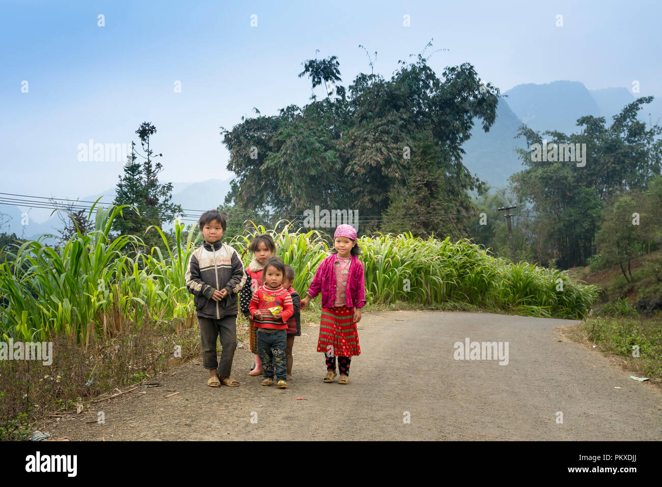 Hmong Kinder in den Bergen von Dong Van, Provinz Ha Giang, Vietnam Stockfoto