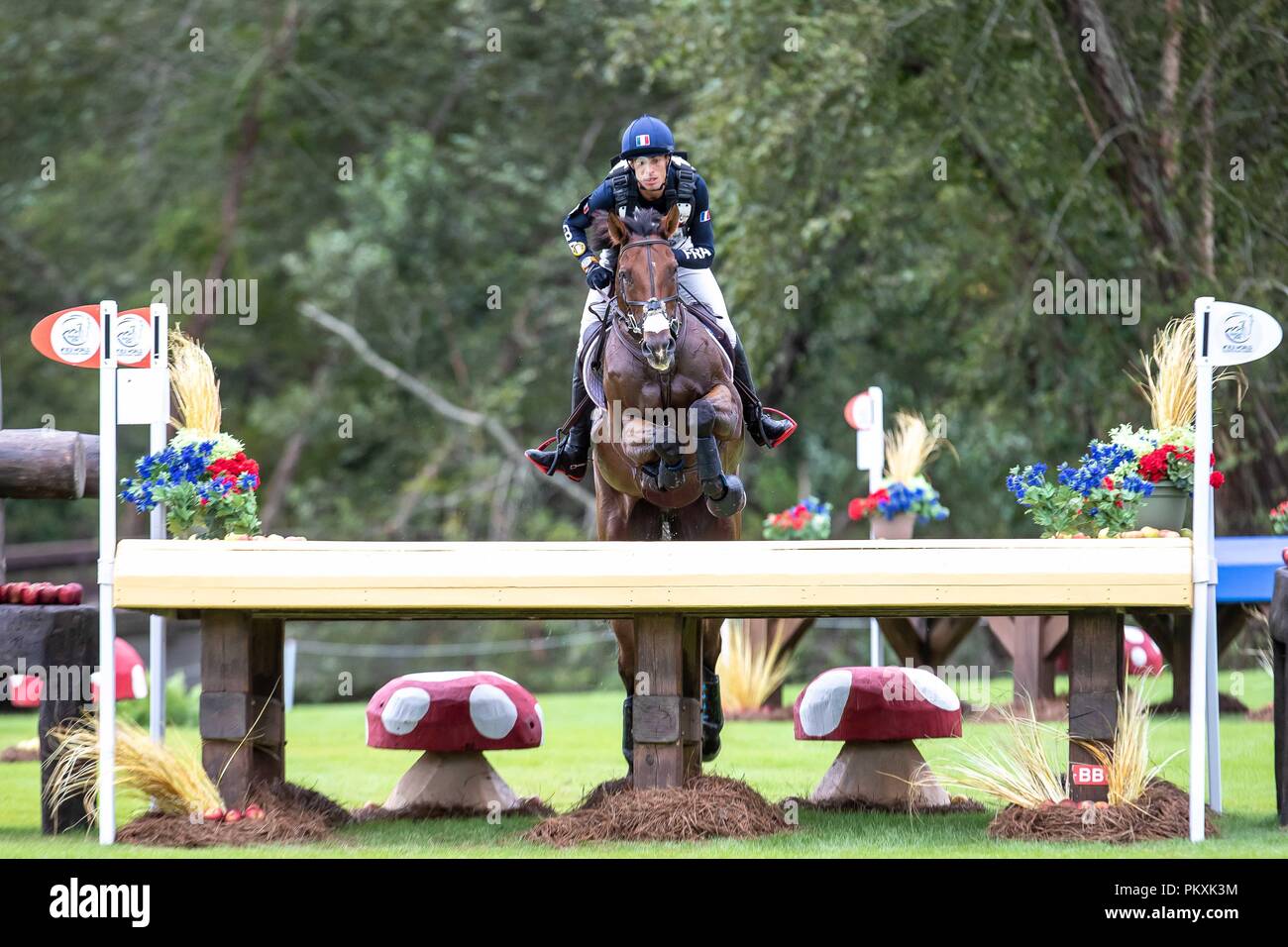 North Carolina, USA. 15. September 2018. Maxime Livio. Opium De Verrieres. FRA. Eventing Querfeldein Tag 5. World Equestrian Games. WEG 2018 Tryon. North Carolina. USA. 15.09.2018. Credit: Sport in Bildern/Alamy leben Nachrichten Stockfoto