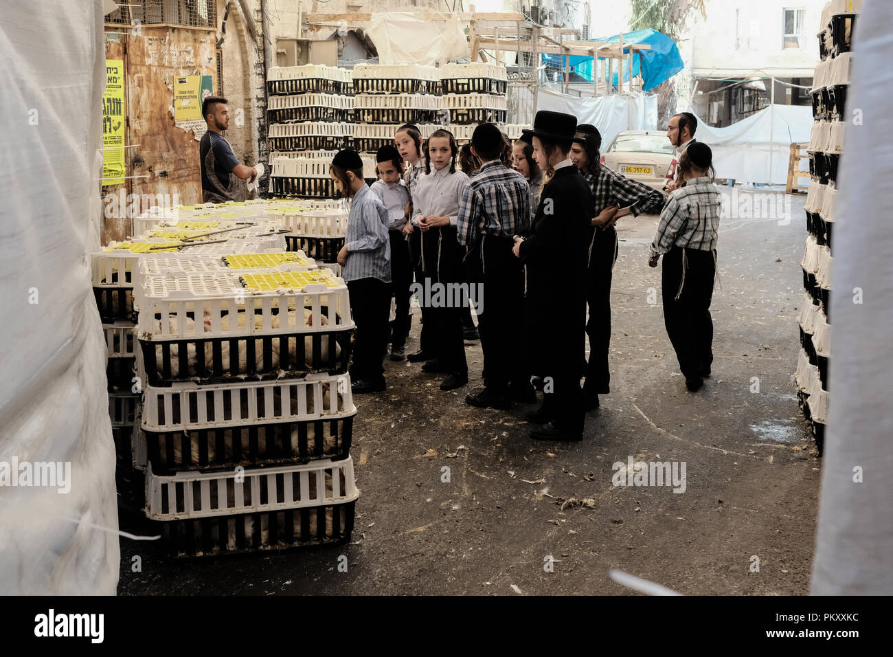 Jerusalem, Israel. 16. September 2018. Young Boys die eingesperrten Hühner als religiöse Juden führen Sie das Ritual des Kapparot am Vorabend des Yom Kippur, dem Versöhnungstag, in der ultra-orthodoxen Stadtviertel Mea Shearim, Schwingen einer live Hahn über ihren Köpfen zur Sühne der Sünden vor Gott und vor der Reinigung. Credit: Nir Alon/Alamy leben Nachrichten Stockfoto