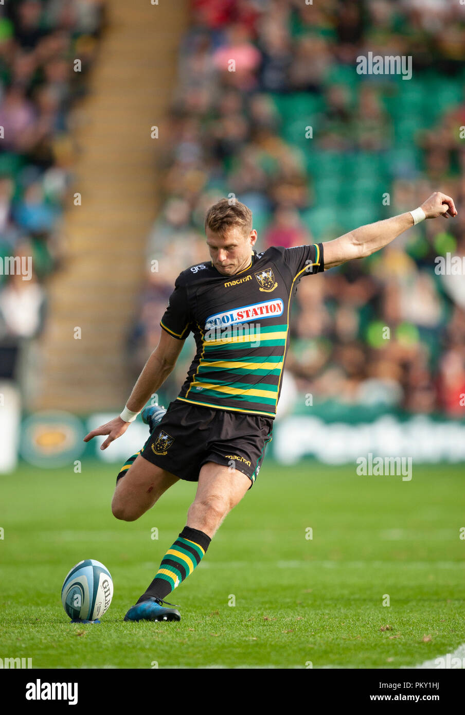 Northampton, Großbritannien. 15. September 2018. Dan Biggar von Northampton Heiligen während der gallagher Premiership Round 3 Übereinstimmung zwischen Northampton Saints und Sarazenen am Franklin's Gardens. Andrew Taylor/Alamy leben Nachrichten Stockfoto