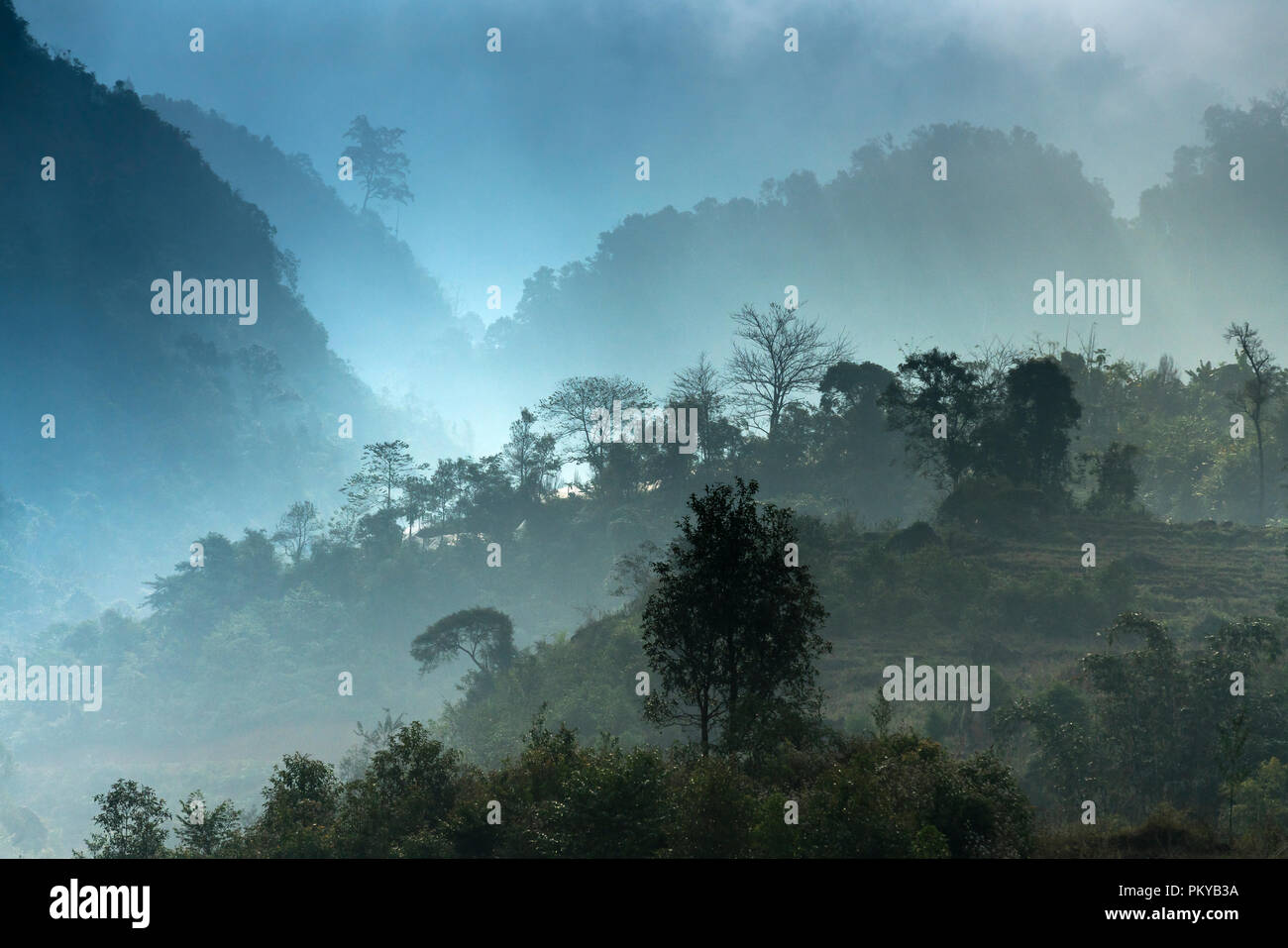 Fantasy Szene am Morgen gibt es viel Nebel der bergigen Gegend in der Provinz Ha Giang, Vietnam Stockfoto