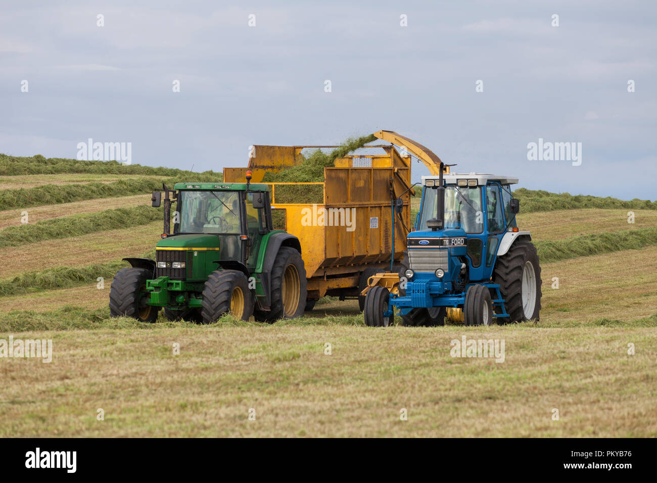 Restaurierten Ford 1986 7710 + 1991 New Holland 525 Chopper + Jahr 2000 John Deere 6810 Die silage auf einem englischen Molkerei Stockfoto