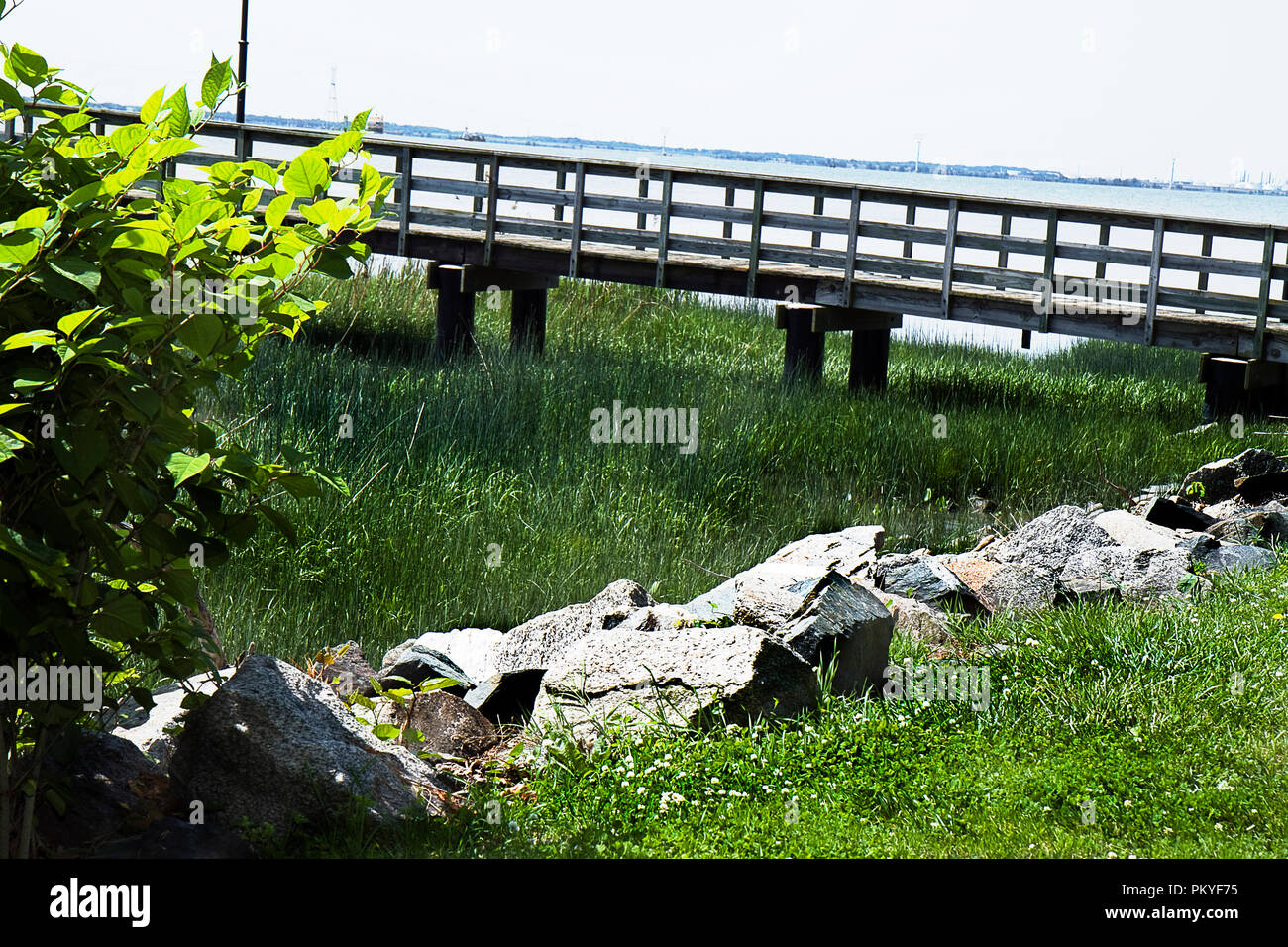 Holzbrücke zum Laufen über eine grüne sumpfigen Bereich verwendet werden. Scenic mit üppigen Hosen nd Felsen. Stockfoto