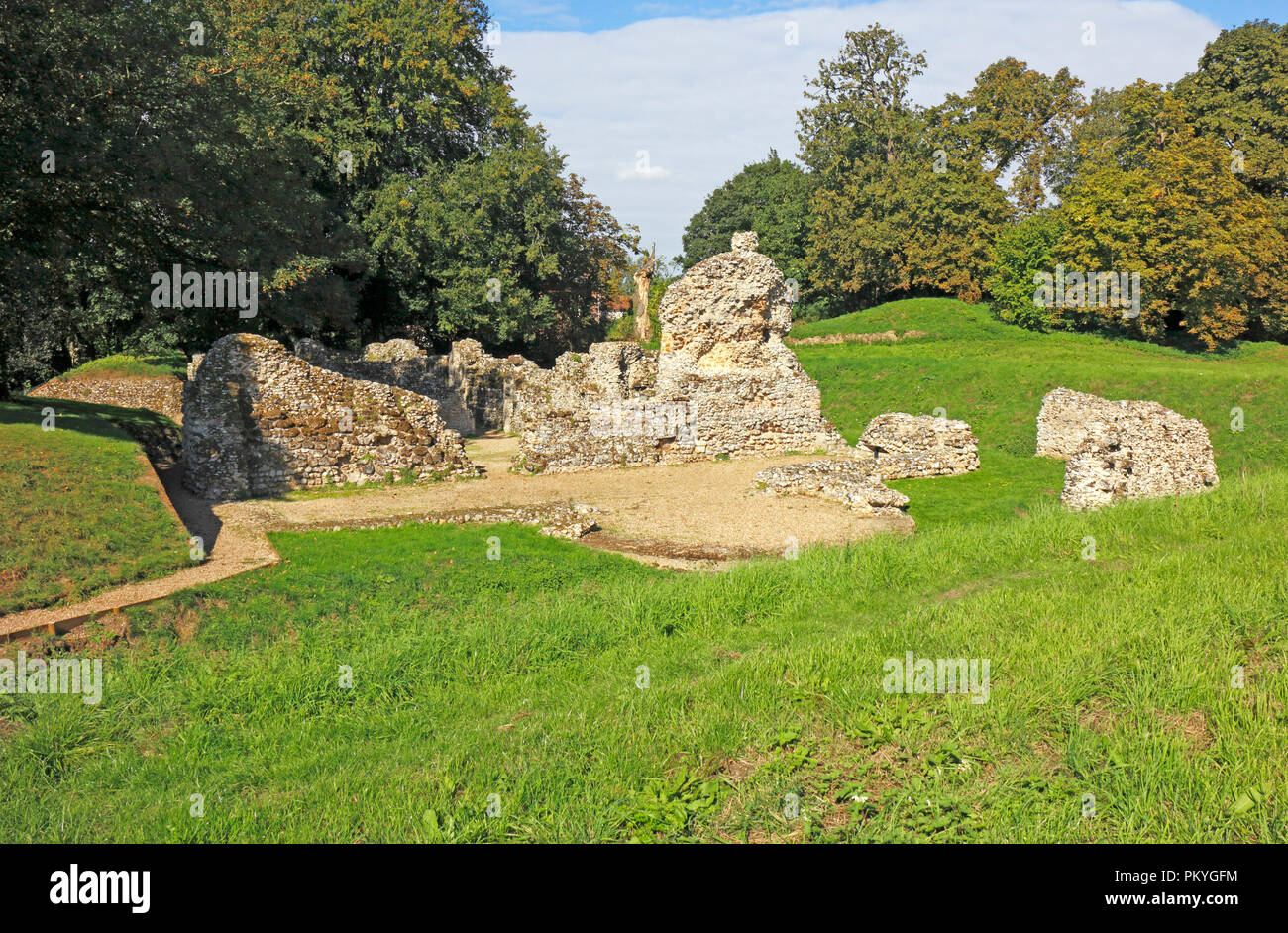 Die Ruinen von einem normannischen Bischof Kapelle auf dem Gelände einer angelsächsischen Kathedrale im Norden Elmham, Norfolk, England, Vereinigtes Königreich, Europa. Stockfoto