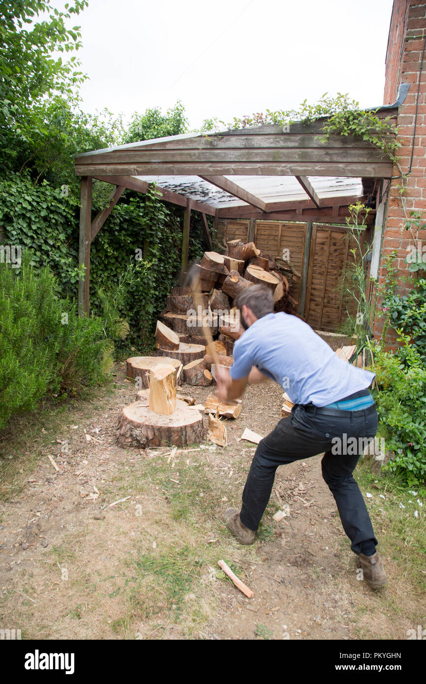 Junger Mann mit Axt zu Split Pine Tree Protokolle, Suffolk, England, Großbritannien Stockfoto Junger Mann mit Axt zu Split Pine Tree Protokolle, Suffolk, England, Großbritannien Stockfoto