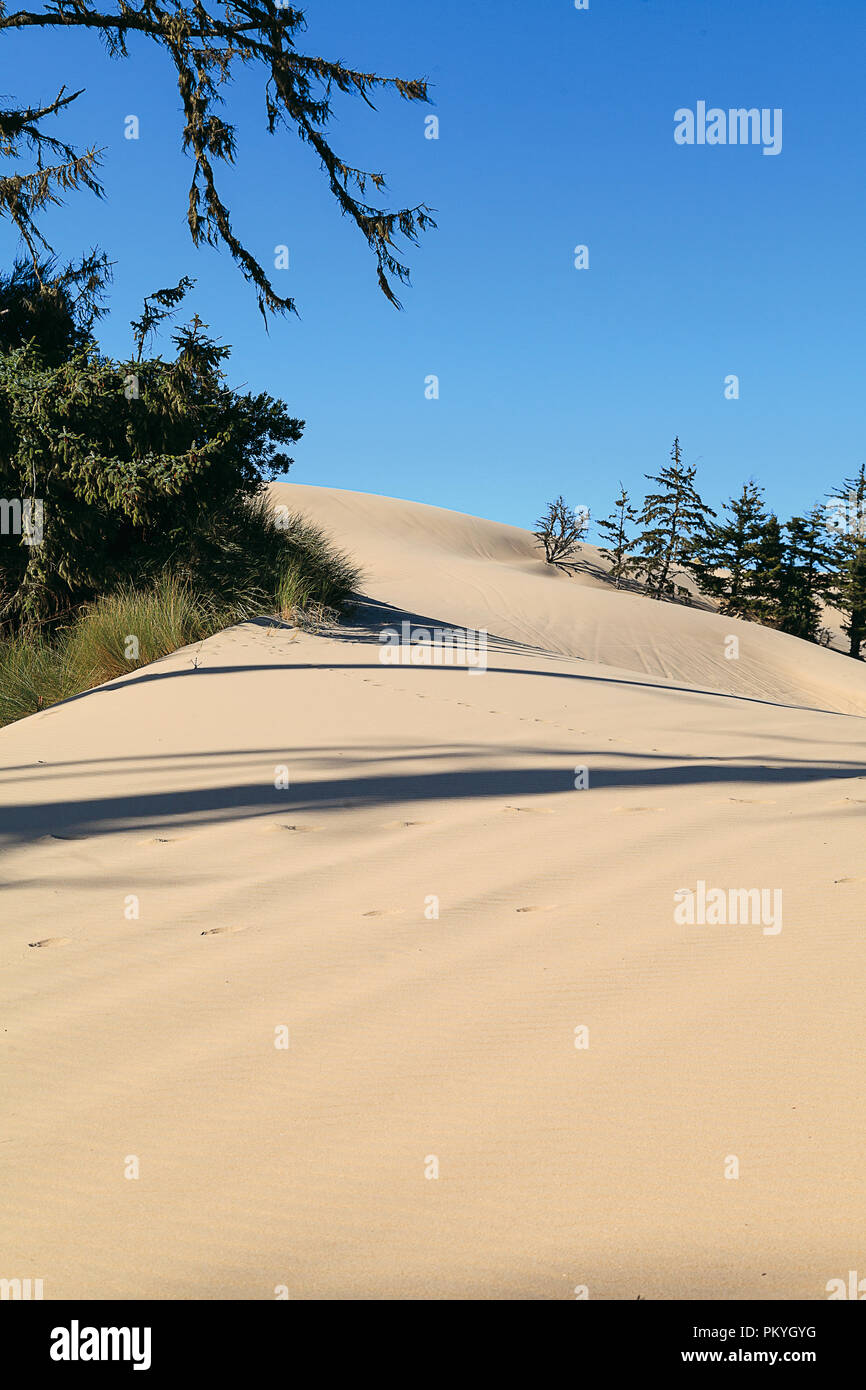 Oregon Dunes National Recreation Area Stockfoto