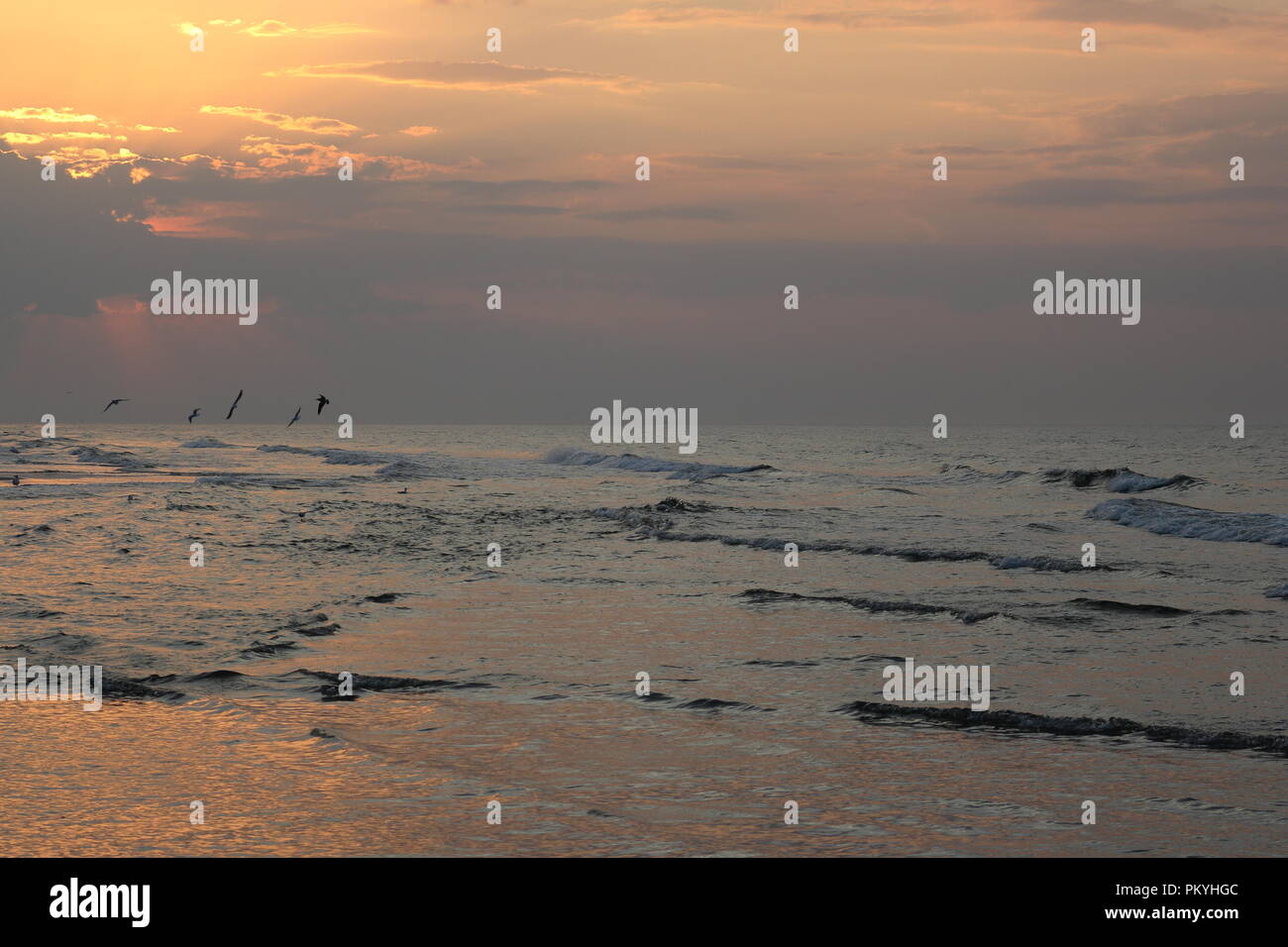 Dramatische Meer Landschaft mit Silhouetten von Möwen in der Ferne bei Sonnenuntergang Stockfoto