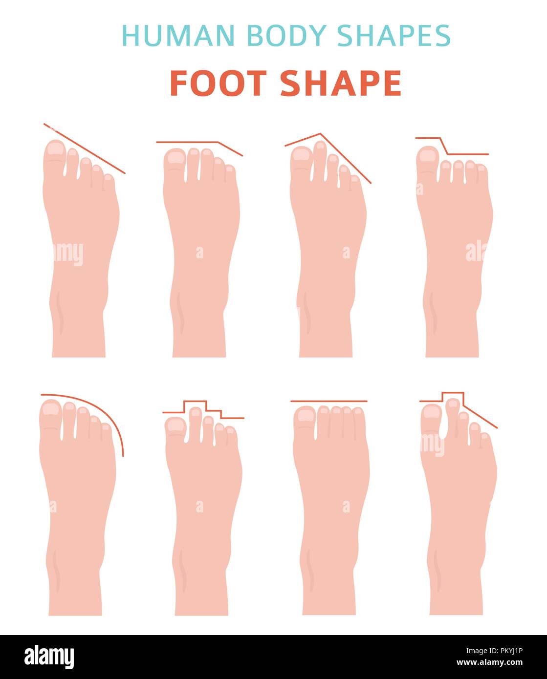 Menschliche Körper formen. Füße Arten Icon Set. Vector Illustration Stock Vektor