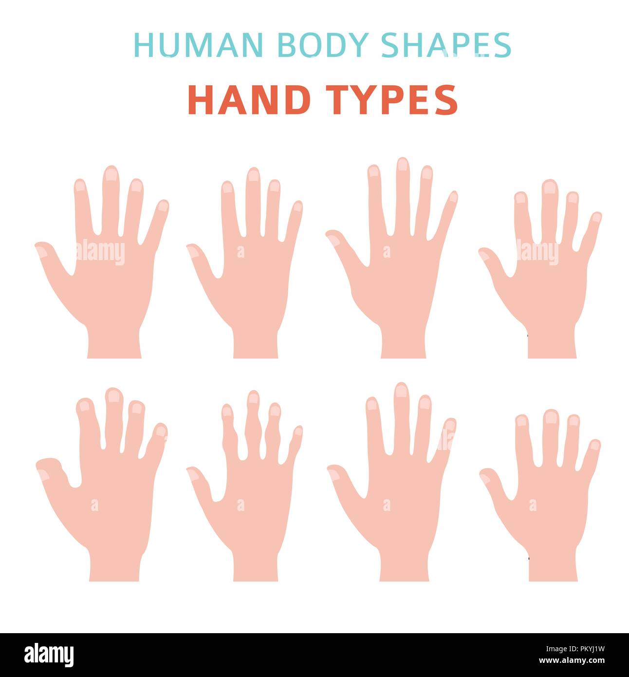 Menschliche Körper formen. Hand Arten Icon Set. Vector Illustration Stock Vektor