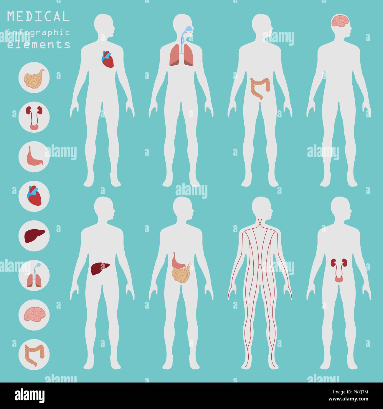 Medizin und Gesundheitswesen Infografik, Elemente für die Erstellung von Infografiken. Vector Illustration Stock Vektor