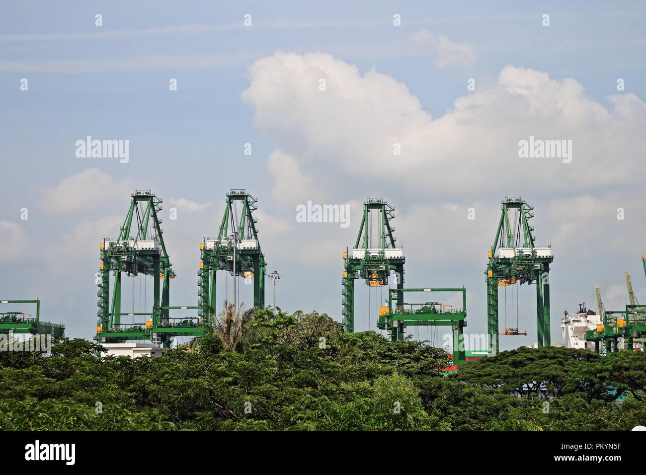 Krane in Singapur Docks, Singapur, Asien Stockfoto