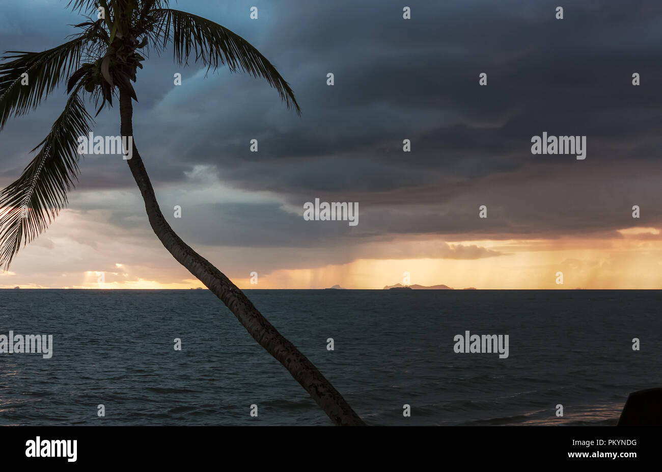 Sonnenuntergang von tropischen Strand mit Palme und Gewitterwolken hinter in Fidschi Stockfoto