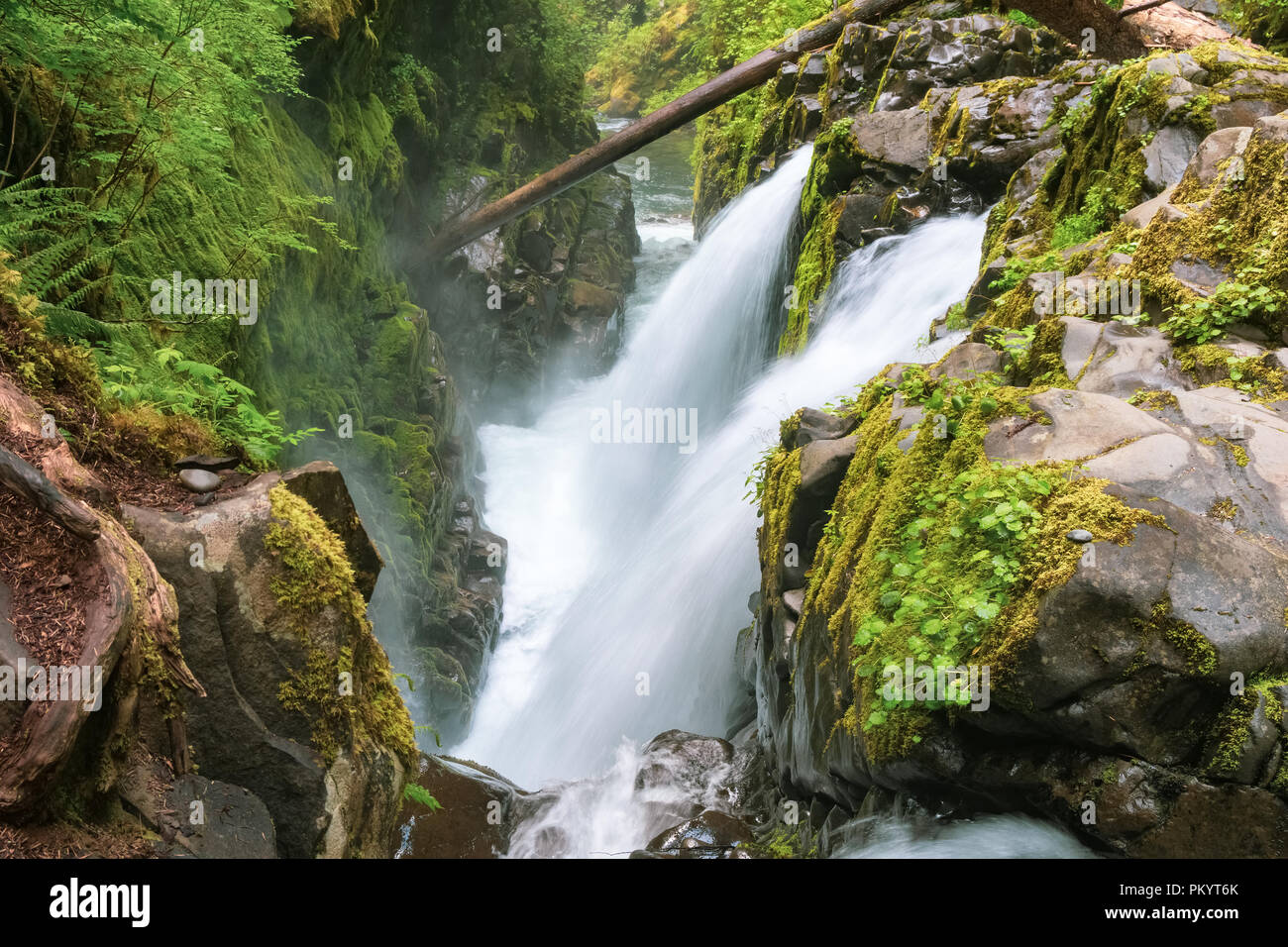 Sol Duc fällt, Sol Duc Wald, Olympic National Park oder die Halbinsel, Port Angeles, Washington State, USA. Stockfoto