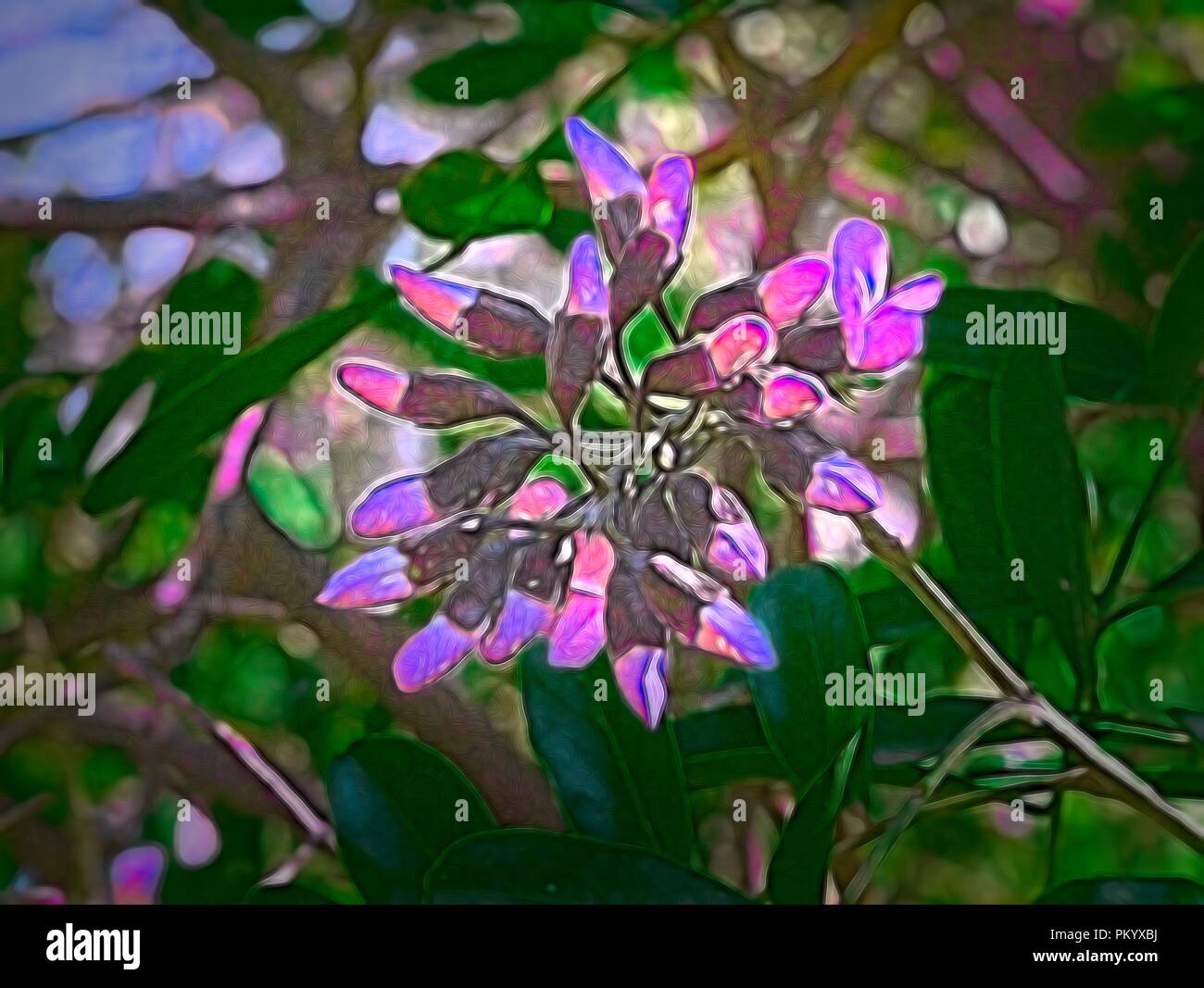 Blumen und Pflanzen in der boyce Thompson Arboretum botanischer Garten in Arizona. Stockfoto