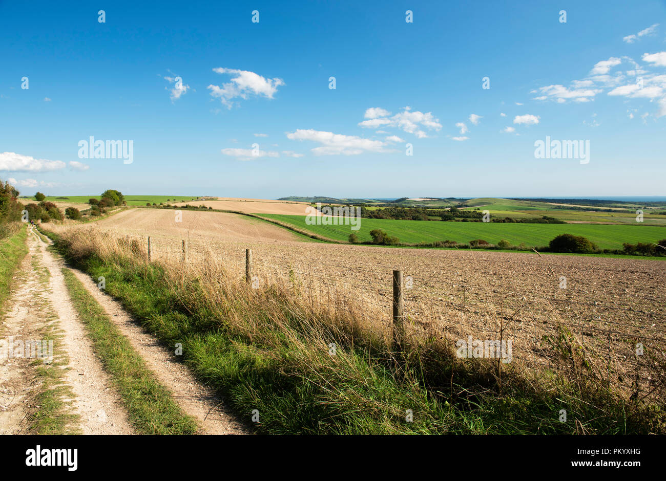 Die South Downs Way neben der Ackerland in der Nähe von Kithurst Hügel nördlich von Worthing, West Sussex im frühen Herbst. Stockfoto