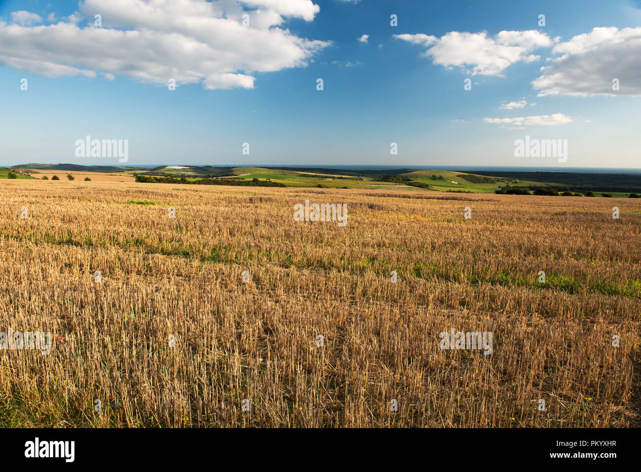 Eine Ansicht von Kithurst Hügel auf der South Downs über ein Feld der geernteten Weizen Stoppeln nach Worthing, West Sussex, England im frühen Herbst. Stockfoto