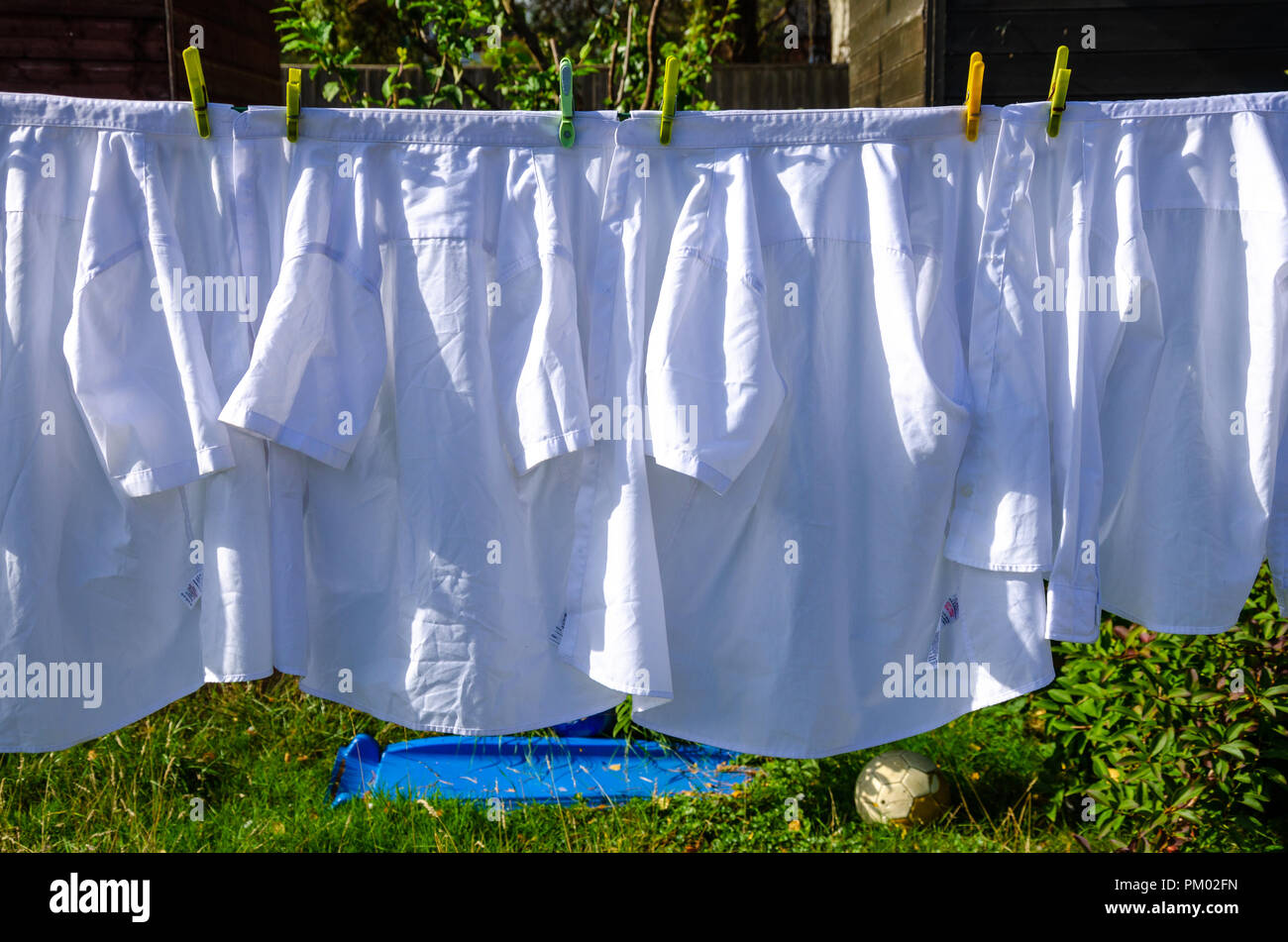 Weiße Hemden heraus hängen auf einer Wäscheleine in einem Wohngebiet zurück Garten zu trocknen. Stockfoto