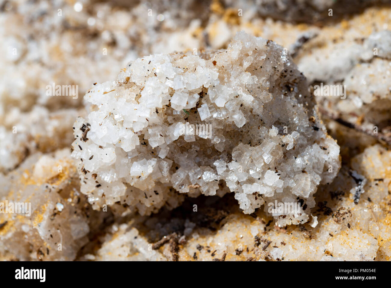 In der Nähe von Salz crystal Block am Toten Meer Stockfoto