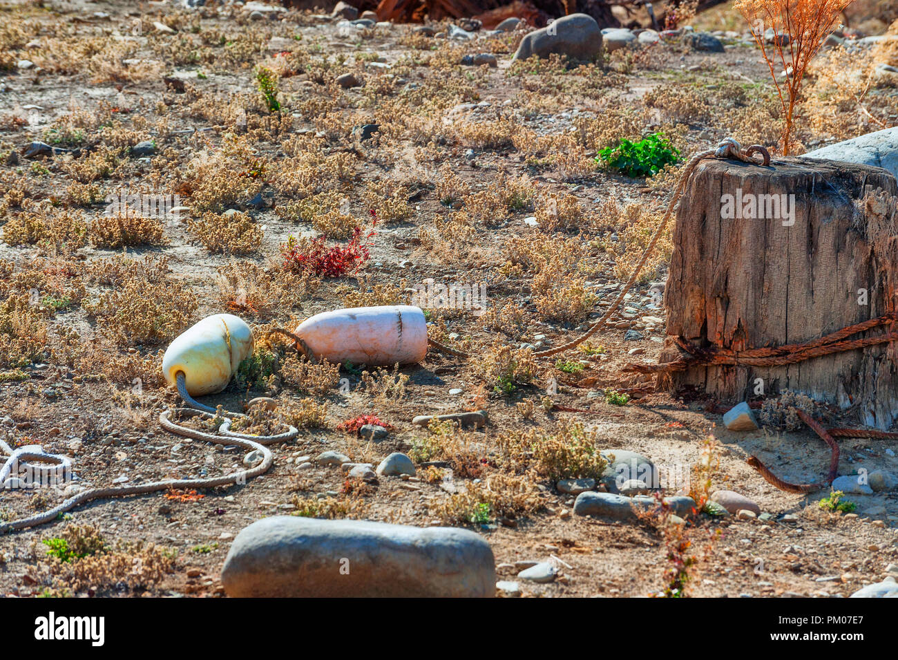 Marina Objekte wie Bojen, Seile lag auf Schmutz und Steine zusammen mit freiliegenden Baumstümpfen, nach der jährlichen Veröffentlichung der Wasser auf Detroit Lake. Stockfoto