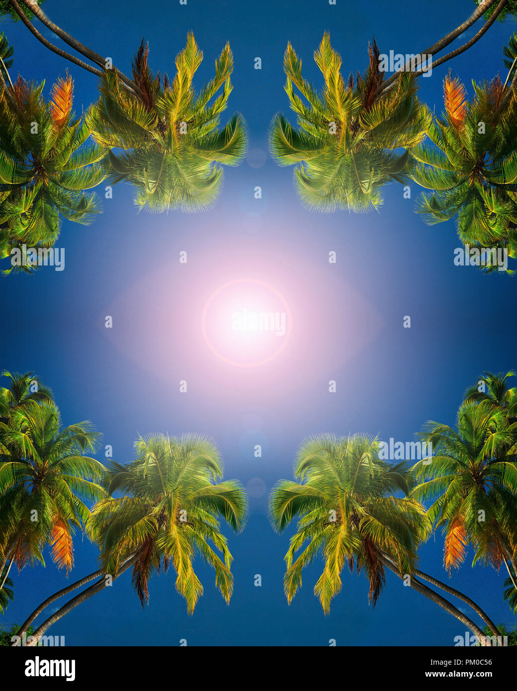 TRAVEL CONCEPT: entspannt unter Palmen und blauem Himmel Stockfoto