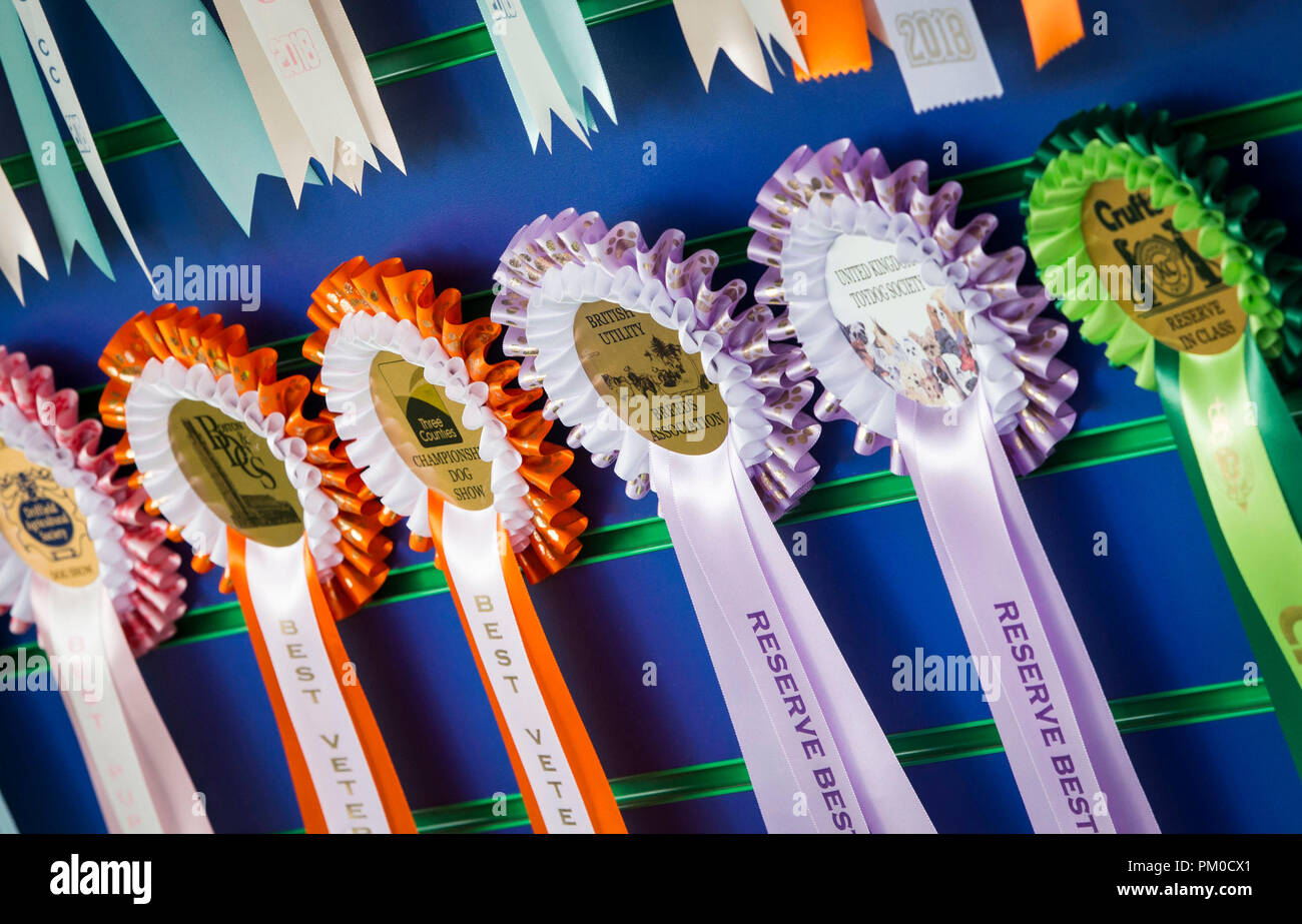 Rosetten im Darlington Hund Gesellschaft jährliche, in Ripon Pferderennbahn in Yorkshire. Stockfoto