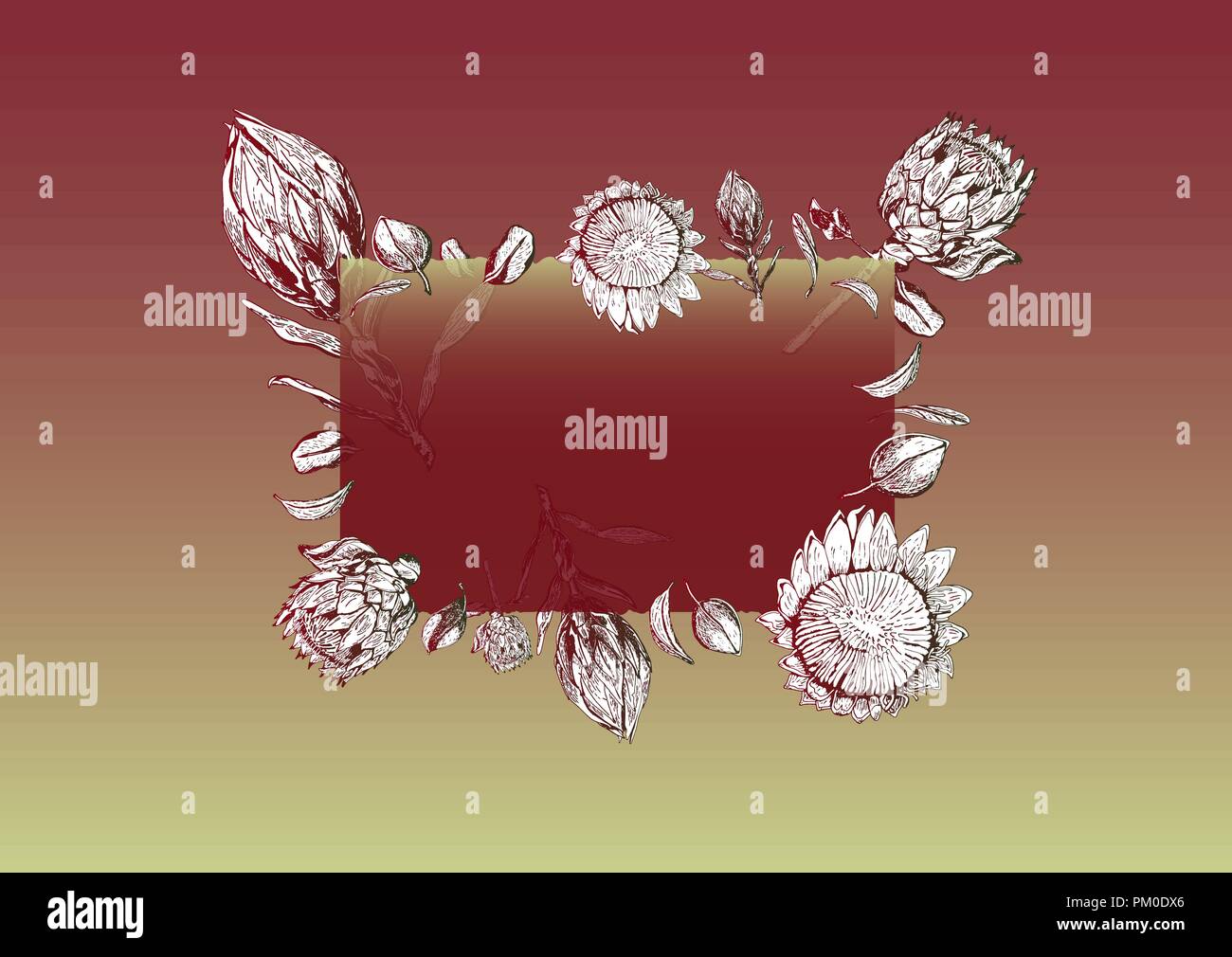 Vector Illustration aus transparentem Glas Rahmen mit königsprotea Blüten, Knospen und Blätter. Grußkarte mit Protea, das Symbol Südafrika, Hand dra Stock Vektor