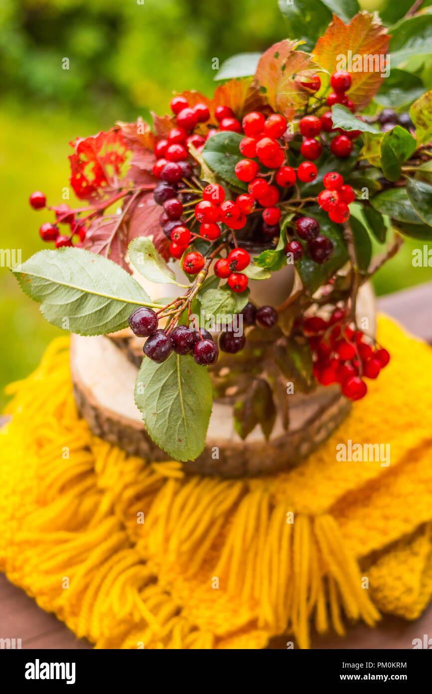 Noch immer leben mit einem Blumenstrauß Garten Blumen und Beeren. Kräutermedizin. Aronia, Herbarium, Bündel von Mountain Ash, mit der gefallenen Blätter im Herbst auf einer hölzernen, gelben Hintergrund. Mockup für saisonale Angebote und Urlaub Post Card Stockfoto