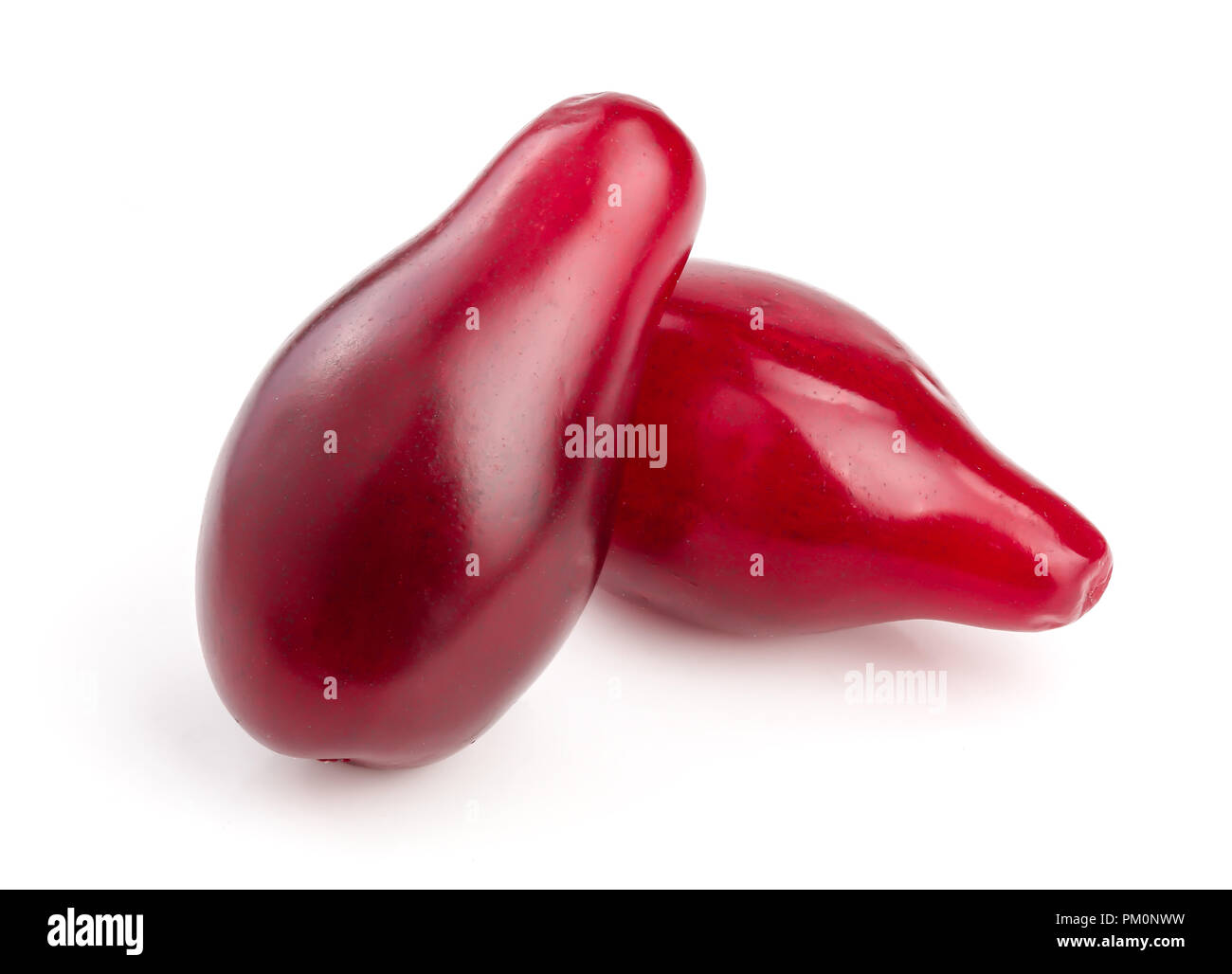 Rote beeren cornel oder Hartriegel auf weißem Hintergrund Stockfoto