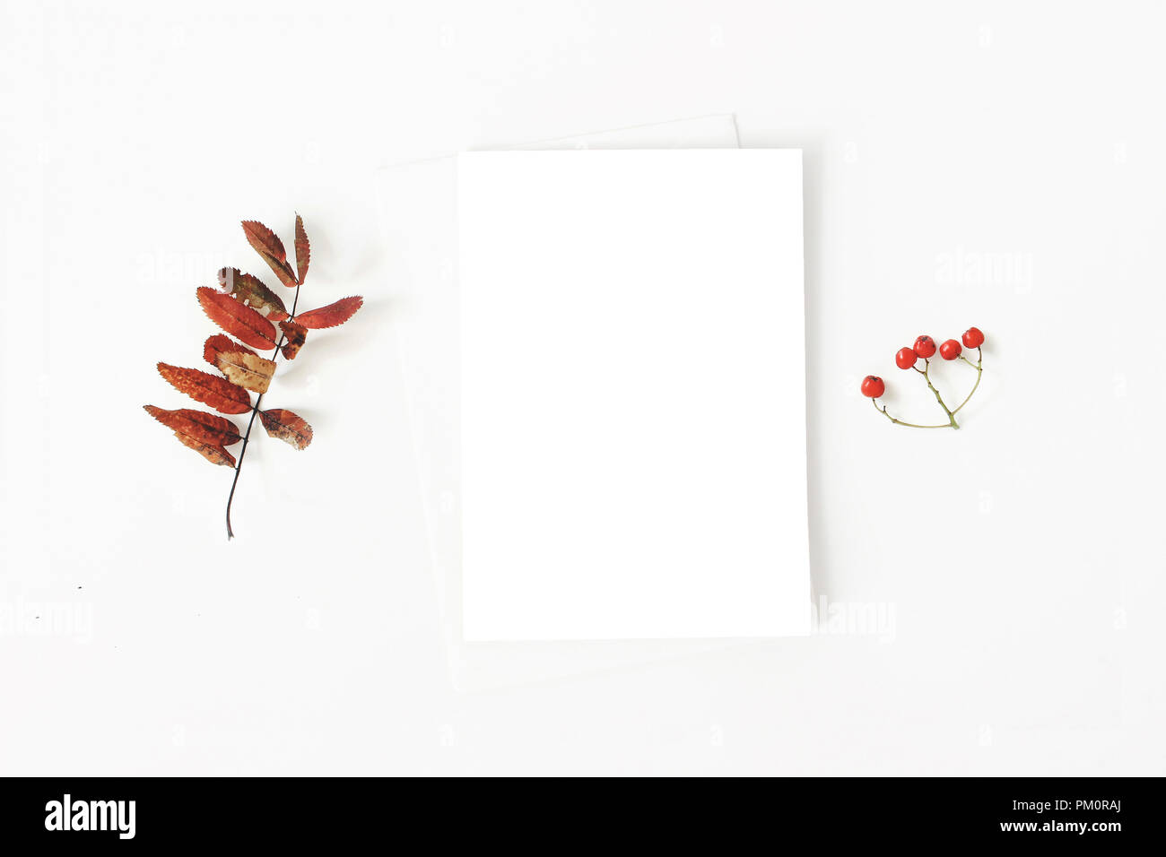 Herbst minimalistischen Schreibwaren mockup Szene. Zusammensetzung der Plank Papier Grußkarte, Umschlag und Rote trockene Rowan Blätter und Beeren auf weißem Hintergrund. Flach, Ansicht von oben. Botanische Anordnung. Stockfoto