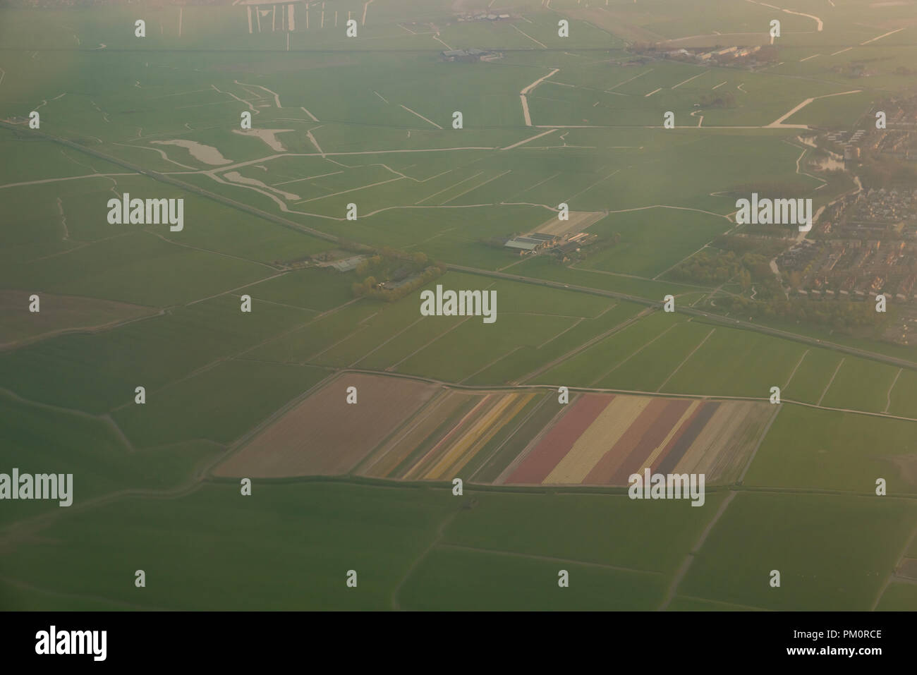 Luftaufnahme von bunte Tulpen Bauernhof in der Nähe des Flughafen Schiphol Stockfoto
