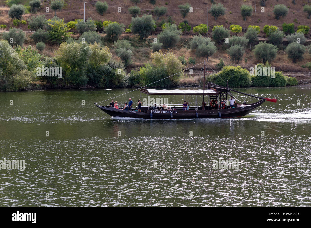 Pinhao, Douro, Portugal. 16. September 2018. Ausflugsboote auf kurze Kreuzfahrten auf dem Fluss Douro an sonnigen Tag im September. Olivenbäume auf riverbank Credit: WansfordPhoto/Alamy leben Nachrichten Stockfoto