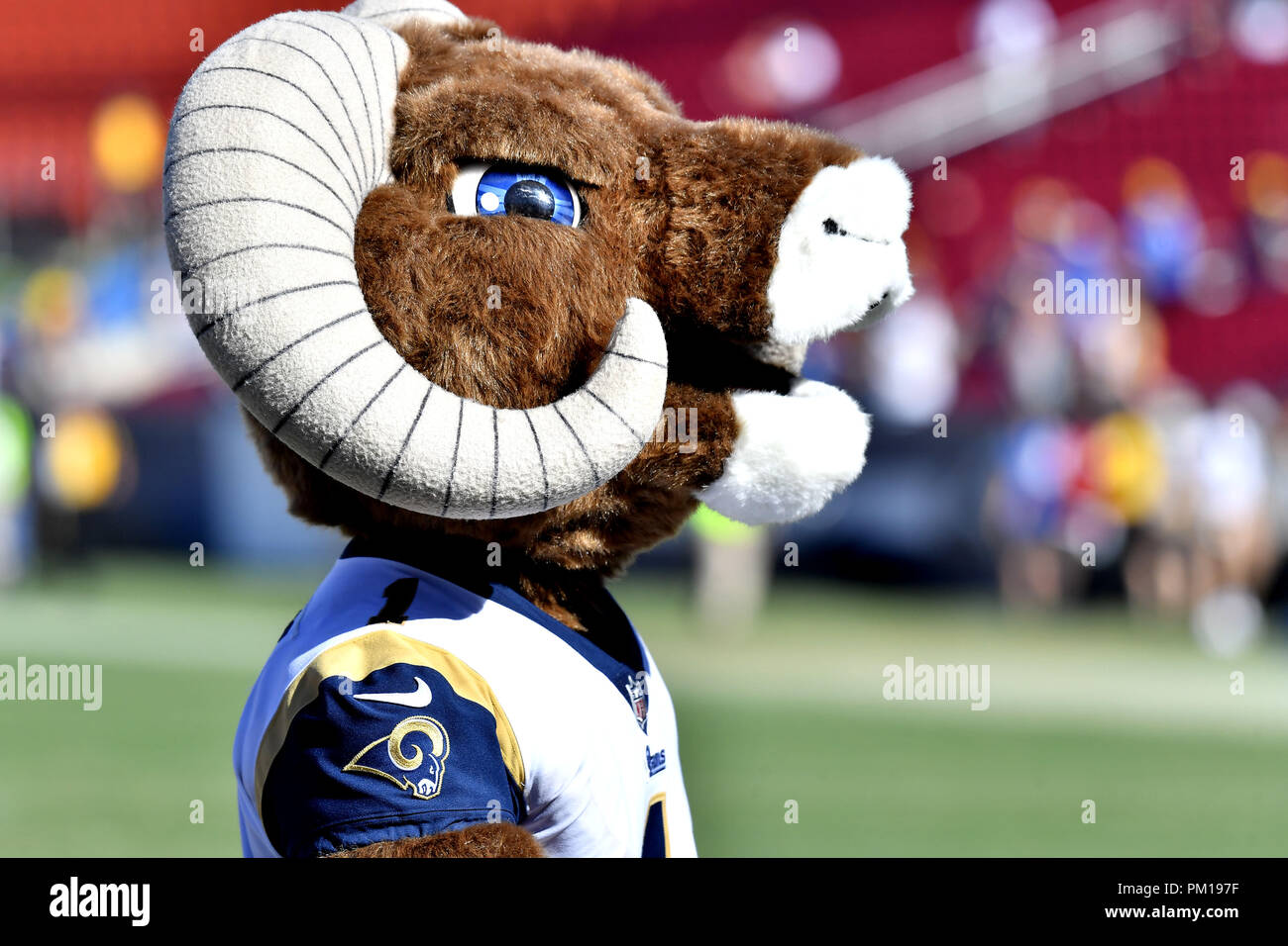 Rampage mascot nfl -Fotos und -Bildmaterial in hoher Auflösung – Alamy