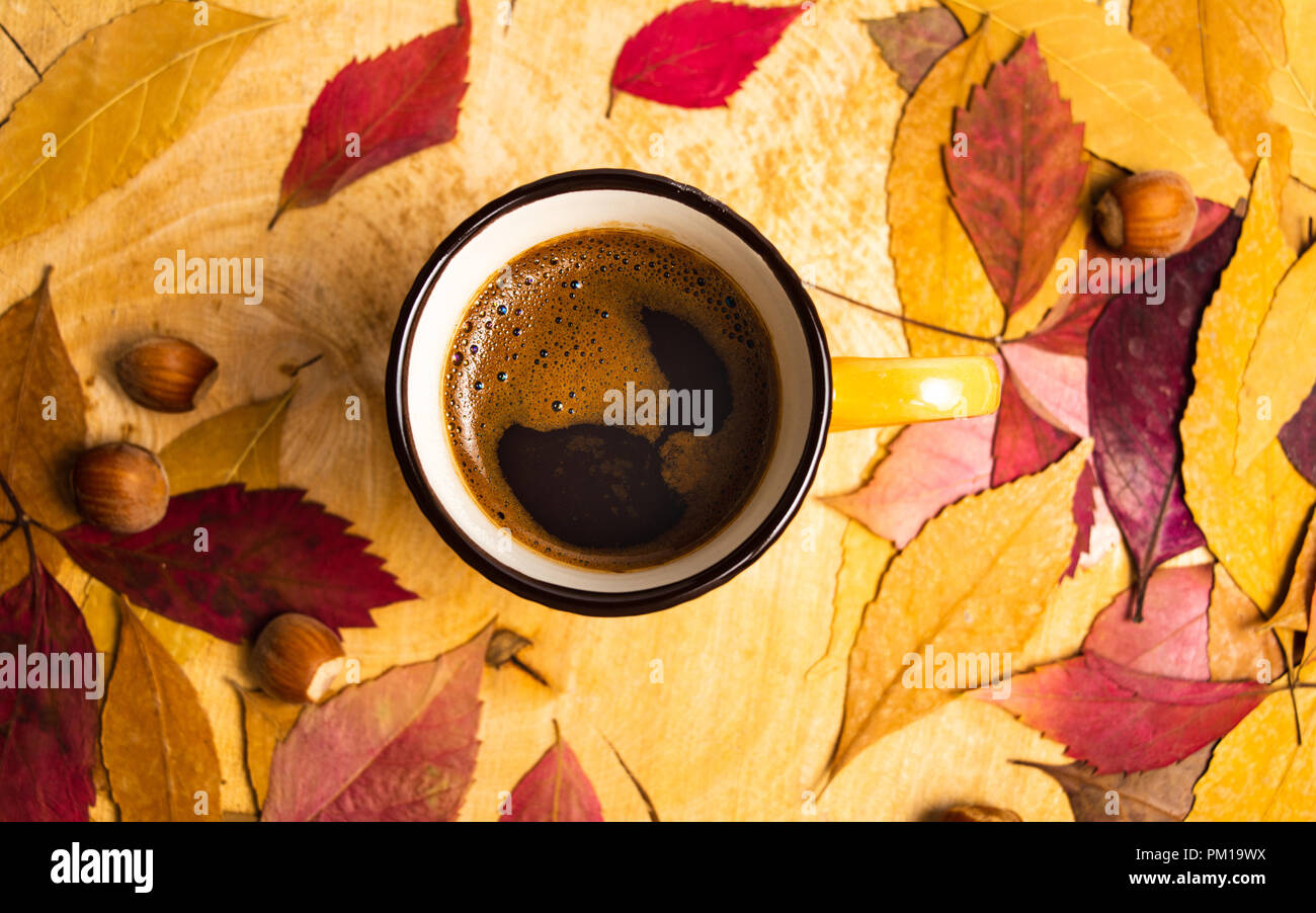 Tasse Kaffee in und gefallenen Blätter im Herbst Stockfoto