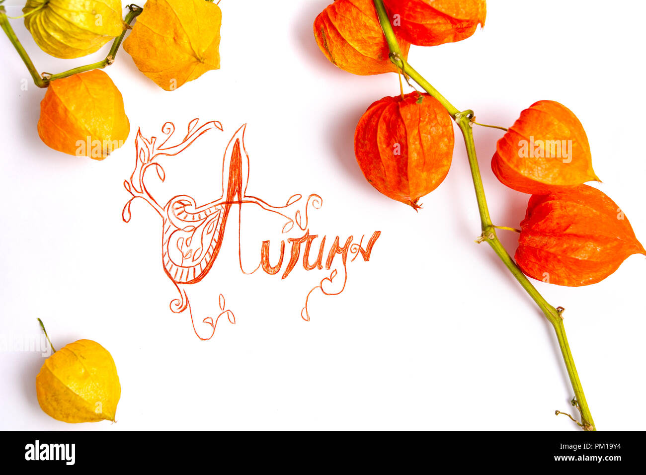 Herbst Karte mit gefallenen Blätter, Herbst Hintergrund Stockfoto