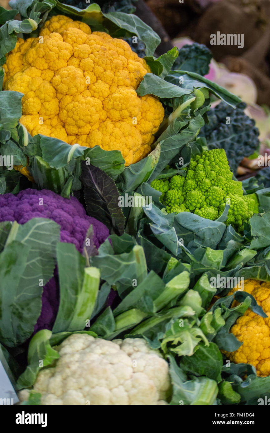 Frisches Lila, Weiß und Orange Blumenkohl auf Verkauf in Borough Markt, Southwark, London, UK Stockfoto