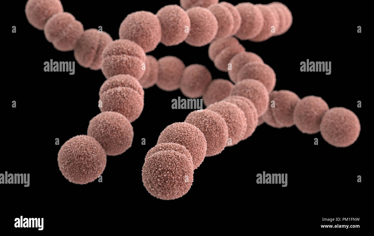 3D-computer-generierten Bild einer Gruppe von Gram-positiven, Streptococcus pyogenes Bakterien. Stockfoto
