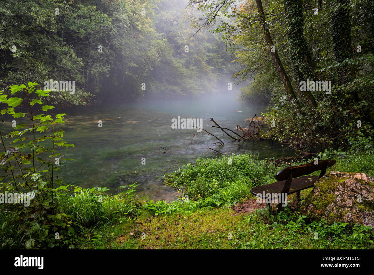 Bank aus Holz von der Foggy River Stockfoto