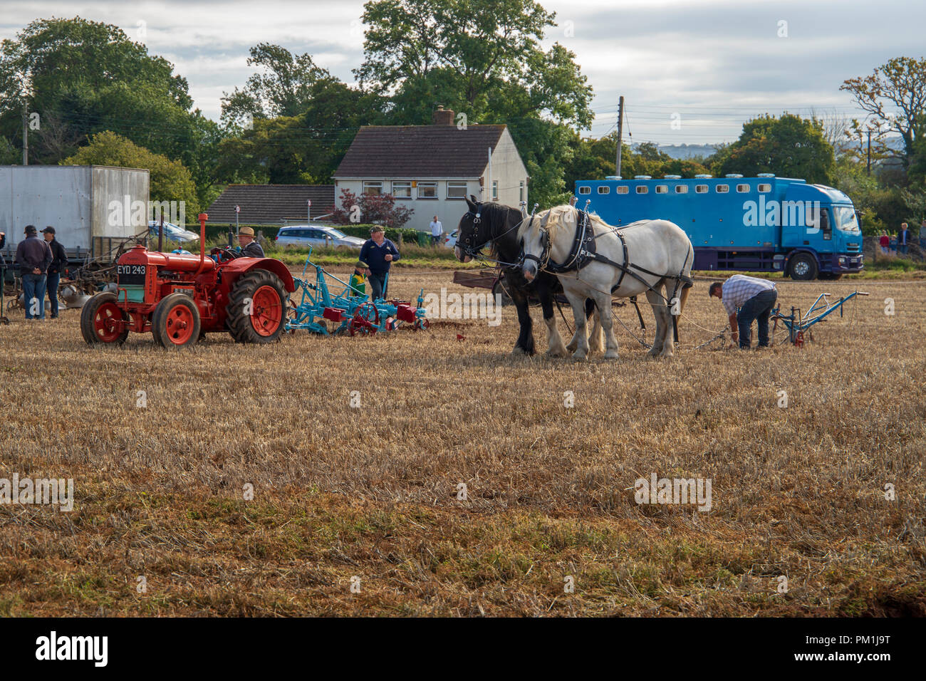 Pferde und Traktor Oldtimer Traktor und Pflügen Anzeige an Kauen Stoke 2018 Stockfoto