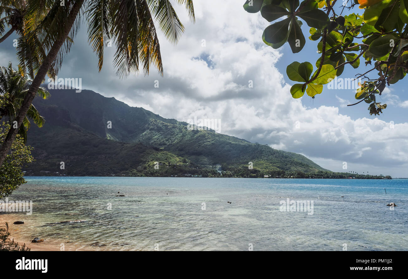 Tropisches Paradies, Insel Moorea in Französisch Polynesien Stockfoto
