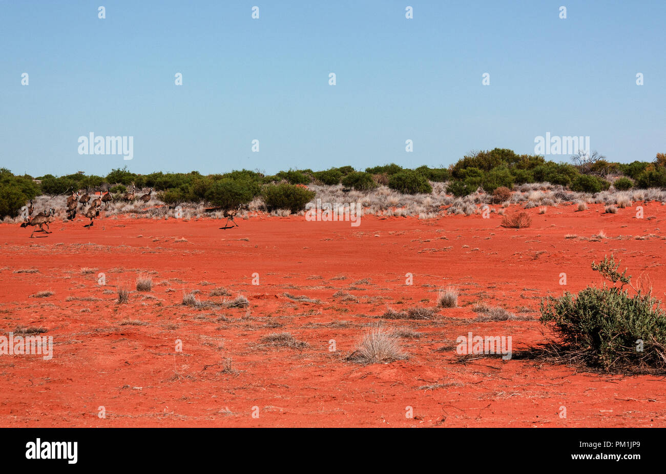Die wwu im Outback Australien off road Stockfoto