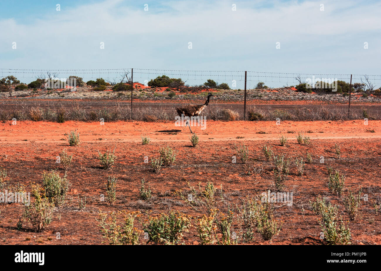 Die wwu im Outback Australien off road Stockfoto