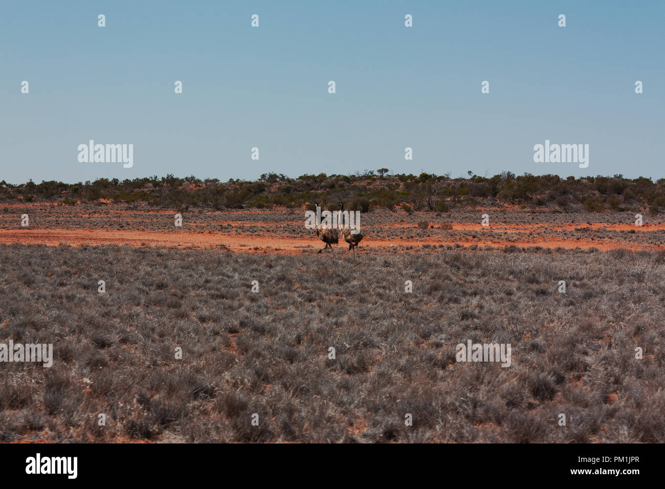 Läuft der WWU im Outback Australien off road Stockfoto