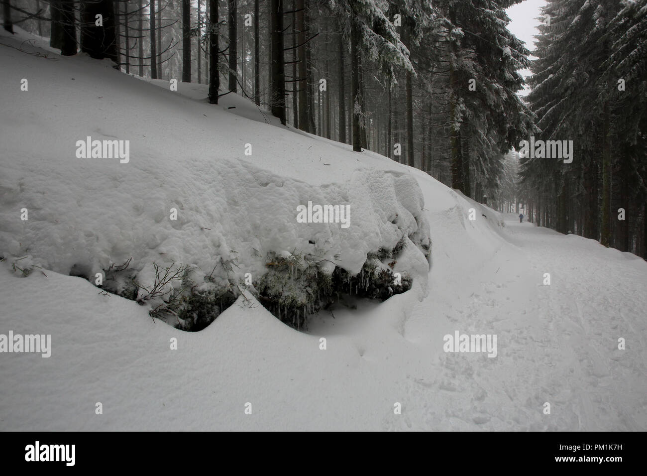 Verschneiten Schwarzwald im Winter. Baden - Württemberg, Deutschland Stockfoto