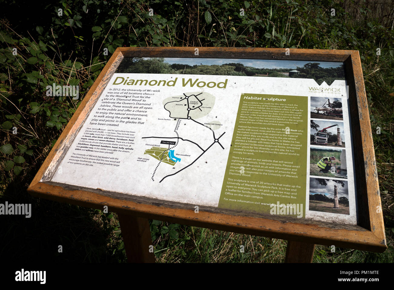 Diamond Holz Information Board, in der Nähe von Kenilworth, Warwickshire, Großbritannien Stockfoto