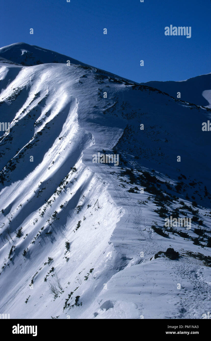 Polnische Tatra im Winter Stockfoto