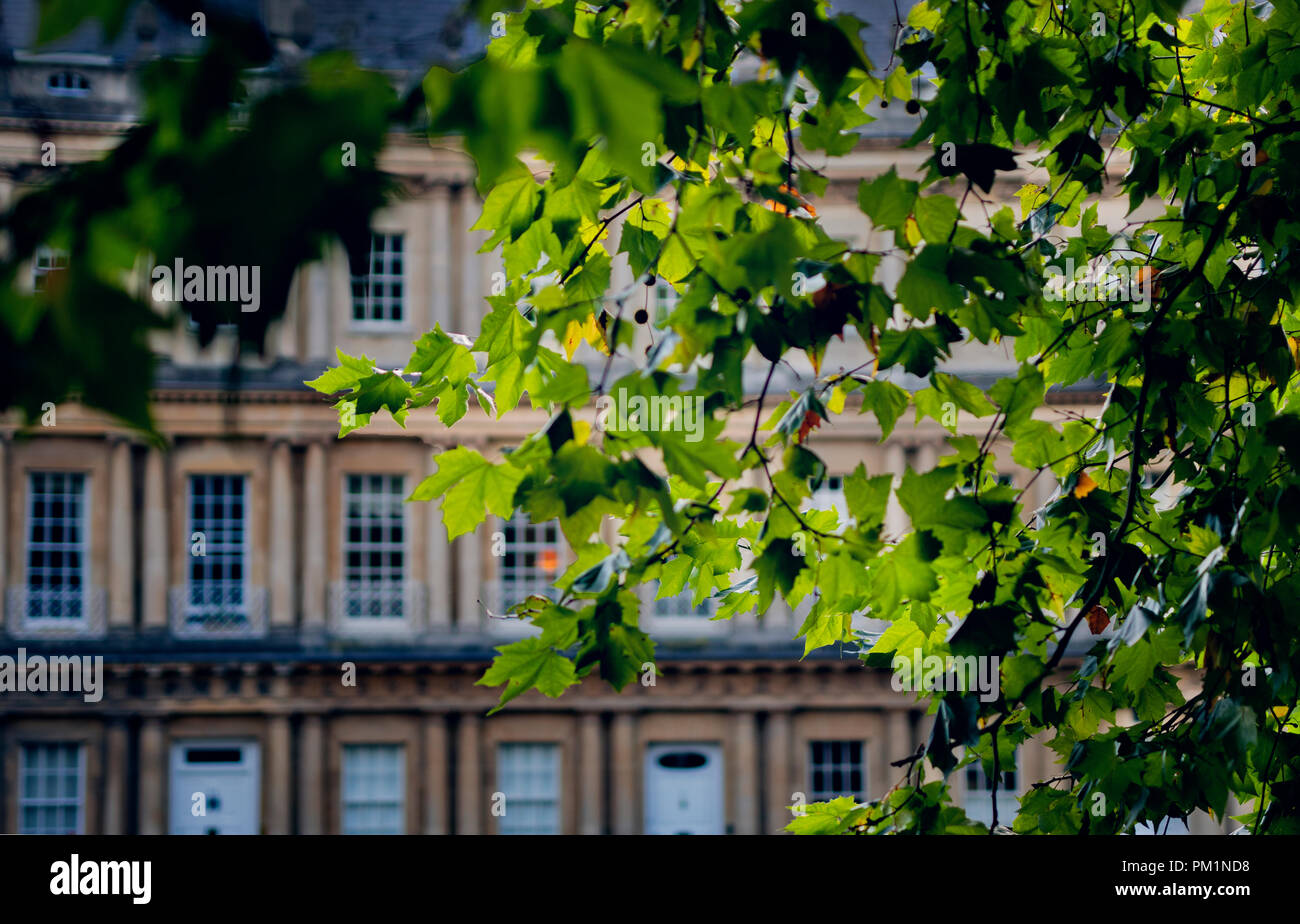 Die cirus, der berühmten mews im Zentrum von Bath. Stockfoto