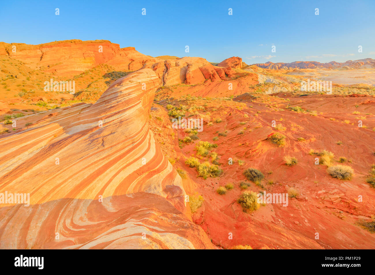 Die coloful Gestreifte am roten Sonnenuntergang Brand Wave Wanderung in der Valley of Fire State Park in Nevada, United States in Mojave Wüste Landschaft. Brand Wave ist eine der bekanntesten Formationen im Tal des Feuers. Stockfoto